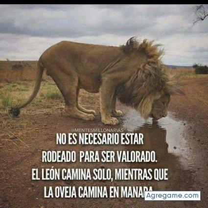 elamperez chico soltero en Gracias