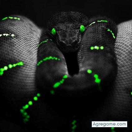 888luck chico soltero en Villa Tunari