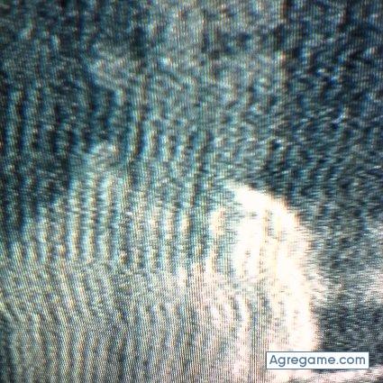 reusssss chico soltero en Campo Grande