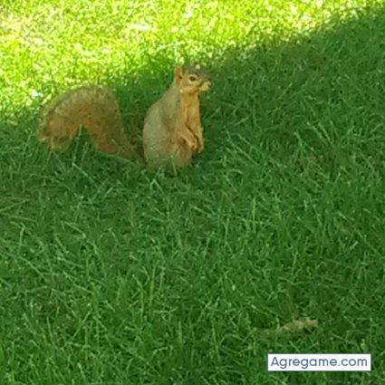bonilla1983brayan chico soltero en Sioux City