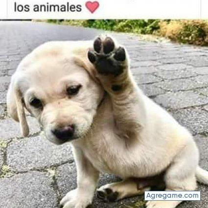 geovanni1983 chico soltero en Coatepeque