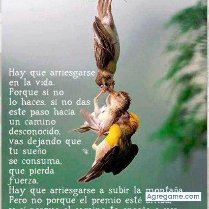 guevarasanchez chico soltero en Hanover Park