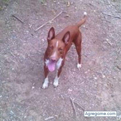 juanmanuel4472 chico soltero en La Virgen Del Camino