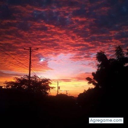 alexgarcia3123 chico soltero en Lolotique