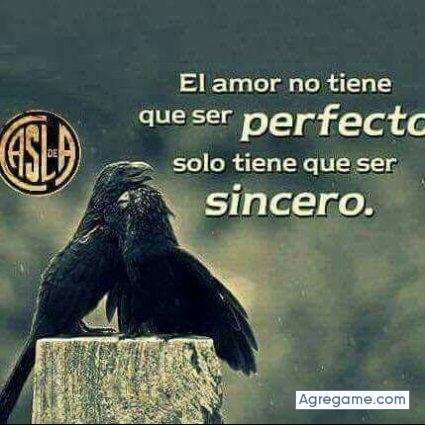 mend75 chico soltero en Centenario