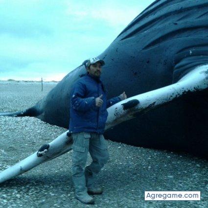 Remins chico soltero en General Enrique Godoy