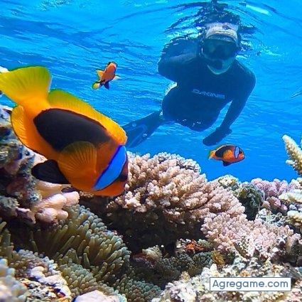 Mariotx chico casado en San Antonio