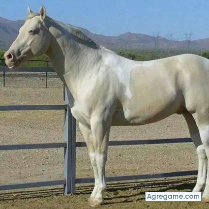 martin23com chico soltero en Eau Claire