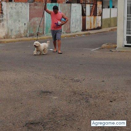 Alejo9612 chico soltero en Maracaibo