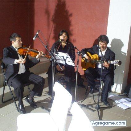 alvaritrox chico soltero en Maipú