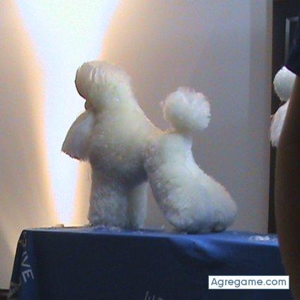 arturbals chico casado en Fonsagrada