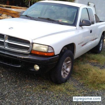 flacoramires chico soltero en Ocean City