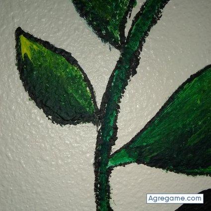 Soul74 chico separado en Ocotal