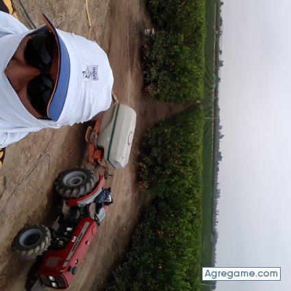 955301278 chico soltero en Santiago