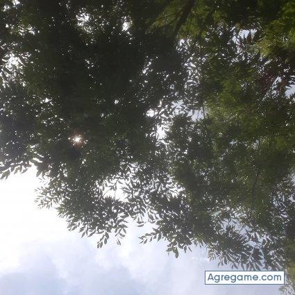 Damiangael chico soltero en Houston