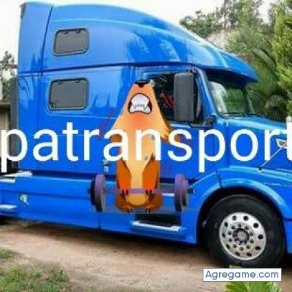 armandozuniga5623 chico soltero en San Dionisio Ocotepec