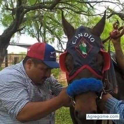 joseortiz6156 chico soltero en Noblesville