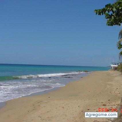 araps chico soltero en 