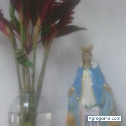 15491689 chico soltero en Píritu