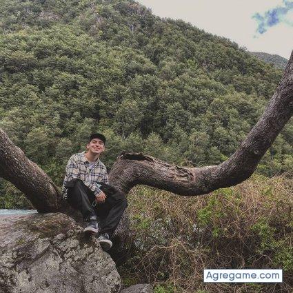 vicente244 chico soltero en Puerto Varas