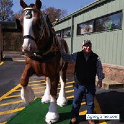 nestordaniel8692 chico soltero en Laurel