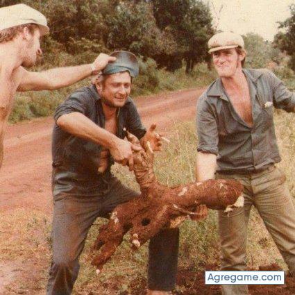 guillermocarlos chico soltero en Leandro N. Alem