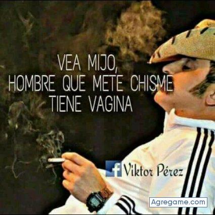 Stams chico soltero en Alamor