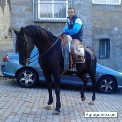 andreus1978 chico soltero en Madrid