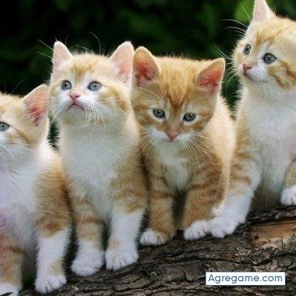 yimisantos chico soltero en El Salvador