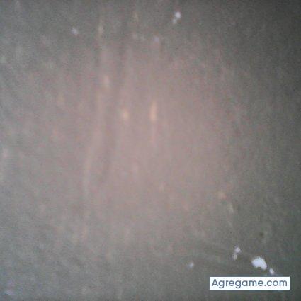 Daniel101113 chico soltero en Piedras Negras