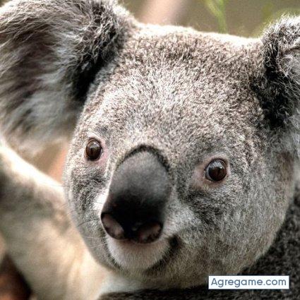 juanchikemgga chico soltero en Maquinista Savio