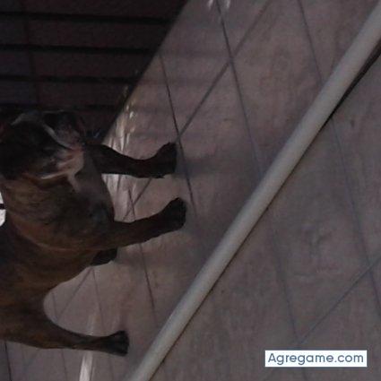 OoscarR93 chico soltero en Dolores Hidalgo Cuna De La Independencia Nacional