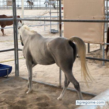 Zero191 chico soltero en El Encinar