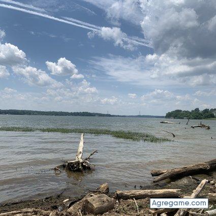 Flash502 chico soltero en Nashville