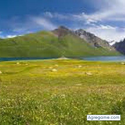 Darwin1979 chico soltero en College Station