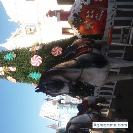 Maicolflores chico soltero en El Crucero