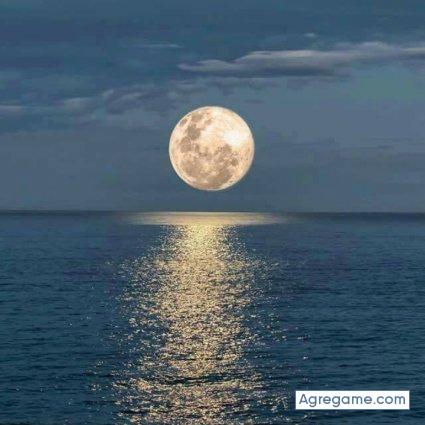 op1986 chico soltero en New Brunswick