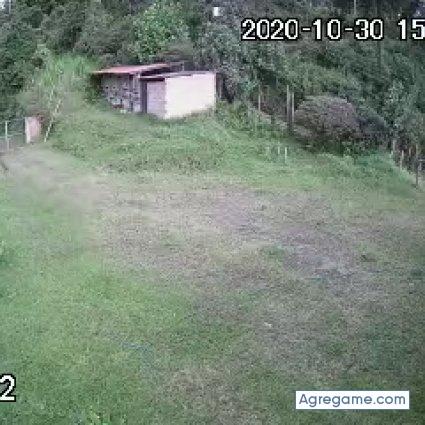 Cutu123 chico soltero en Pereira