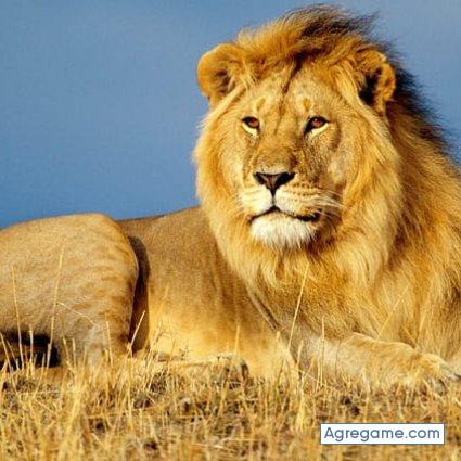 josegarrardo chico soltero en La Reina