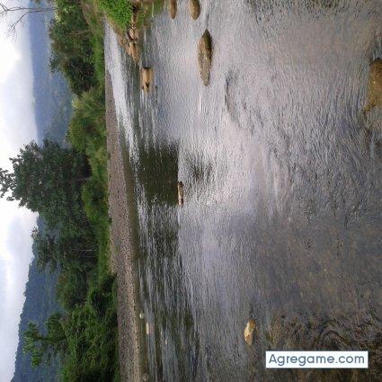 ma123456789 chico soltero en Dominical