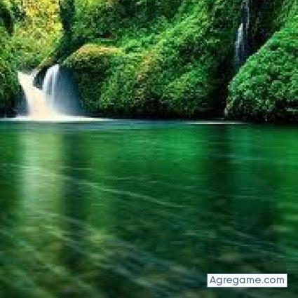 andysolo chico soltero en Carmen De Areco