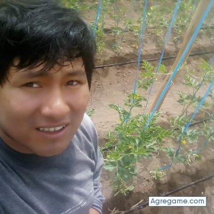 williansulca chico soltero en San Vicente De Cañete