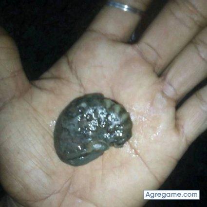 carlosmanuel6780 chico soltero en Tarapoto