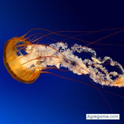 manuelariza chico soltero en 24 de diciembre