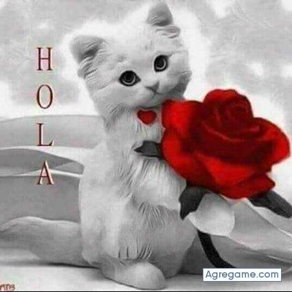 edwinrodriguez9377 chico soltero en Roboré