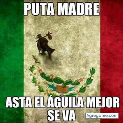 reyesperes chico soltero en Madison