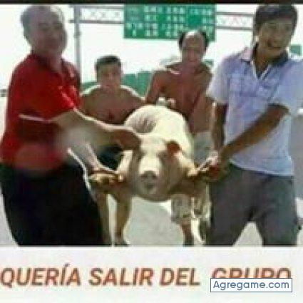 mangosazon chico soltero en Acapulco De Juárez