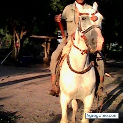 lagarto10 chico soltero en Ibarreta