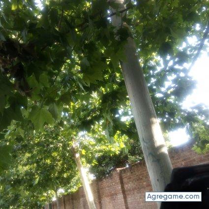 wwwdiegooo10 chico casado en Berazategui