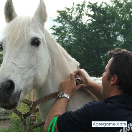 JJCABALLOS chico soltero en Amurrio